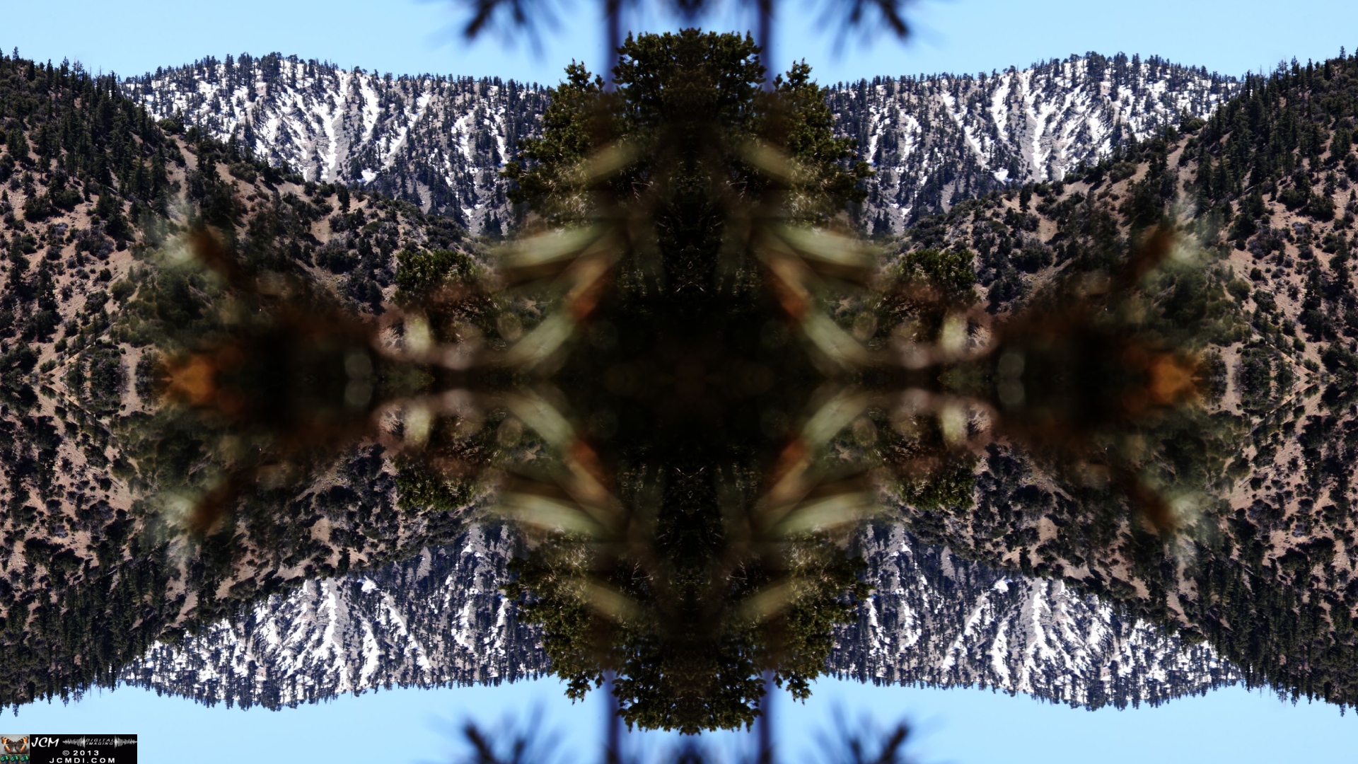 Quadroscopic image filmed at Devil's Punchbowl county park